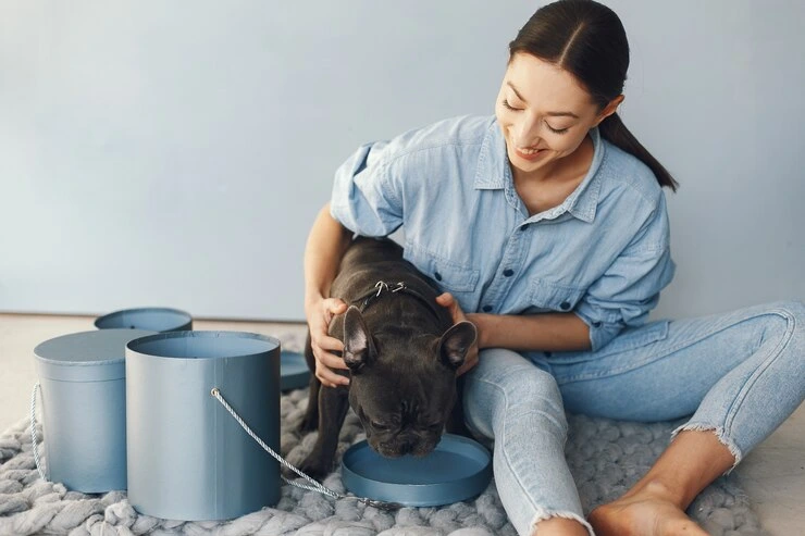 Best Pet Clinic In Kolkata, dog grooming services in Kolkata , pet boarding in Kolkata , pet vaccination in Kolkata , pet dental care in Kolkata , Pet Nutrition Tips by expert in Kolkata , Veterinary Clinics in Kankurgachhi Kolkata , veterinary clinics near me in Kolkata , best veterinary hospital in Kolkata , Pet Care Services in Kolkata, dog grooming services in Kolkata, Role of Behavioral Counseling in Pets
