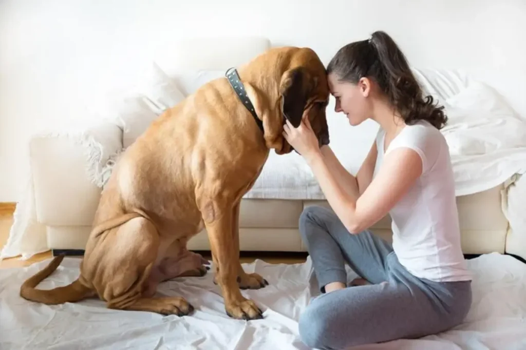 Behavioral Changes in Pets