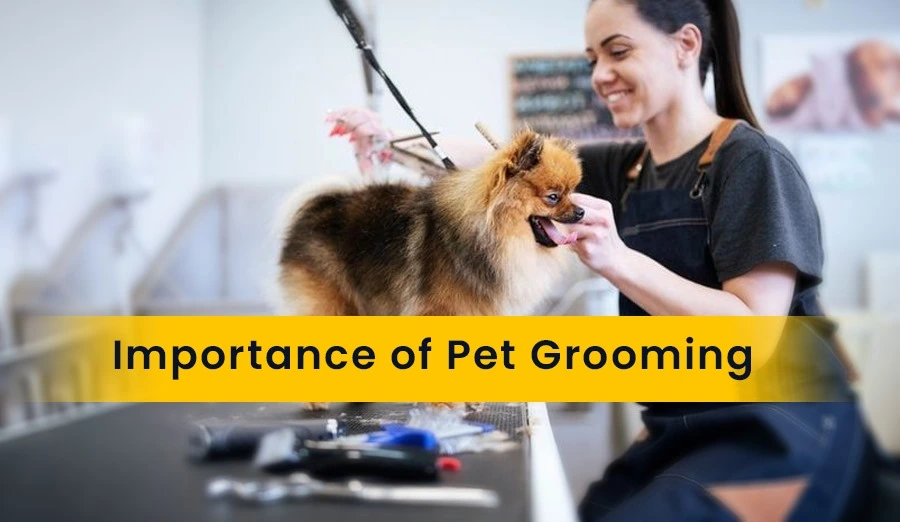 Best Pet Clinic In Kolkata, dog grooming services in Kolkata , pet boarding in Kolkata , pet vaccination in Kolkata , pet dental care in Kolkata , Pet Nutrition Tips by expert in Kolkata , Veterinary Clinics in Kankurgachhi Kolkata , veterinary clinics near me in Kolkata , best veterinary hospital in Kolkata , Pet Care Services in Kolkata, dog grooming services in Kolkata