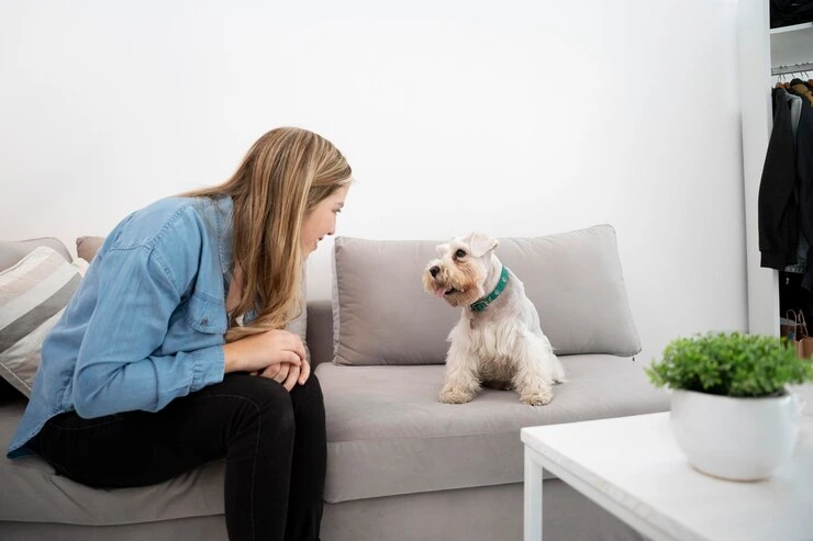 Best Pet Clinic In Kolkata, dog grooming services in Kolkata , pet boarding in Kolkata , pet vaccination in Kolkata , pet dental care in Kolkata , Pet Nutrition Tips by expert in Kolkata , Veterinary Clinics in Kankurgachhi Kolkata , veterinary clinics near me in Kolkata , best veterinary hospital in Kolkata , Pet Care Services in Kolkata, dog grooming services in Kolkata, Anxiety in Pets
