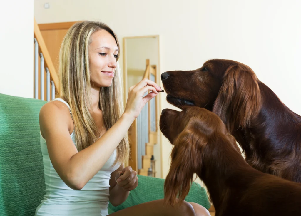 Best Pet Clinic In Kolkata, dog grooming services in Kolkata , pet boarding in Kolkata , pet vaccination in Kolkata , pet dental care in Kolkata , Pet Nutrition Tips by expert in Kolkata , Veterinary Clinics in Kankurgachhi Kolkata , veterinary clinics near me in Kolkata , best veterinary hospital in Kolkata , Pet Care Services in Kolkata, dog grooming services in Kolkata, pets and mental health