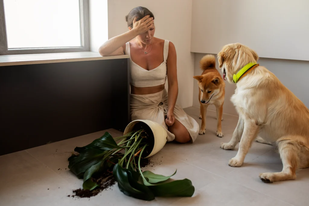 Best Pet Clinic In Kolkata, dog grooming services in Kolkata , pet boarding in Kolkata , pet vaccination in Kolkata , pet dental care in Kolkata , Pet Nutrition Tips by expert in Kolkata , Veterinary Clinics in Kankurgachhi Kolkata , veterinary clinics near me in Kolkata , best veterinary hospital in Kolkata , Pet Care Services in Kolkata, dog grooming services in Kolkata, 