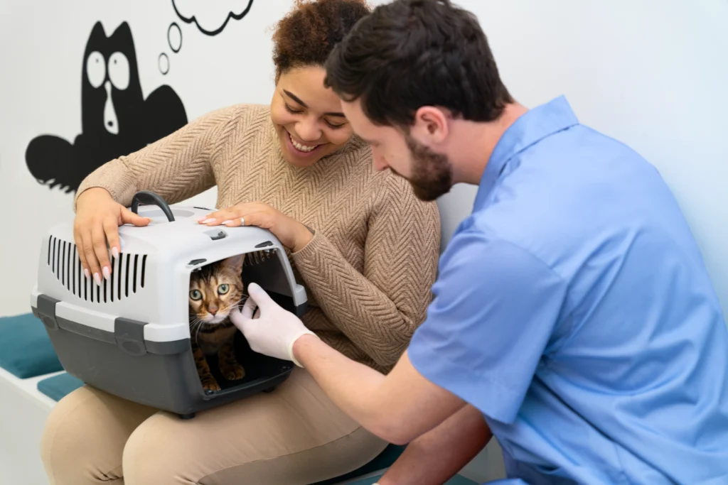 Best Pet Clinic In Kolkata, dog grooming services in Kolkata , pet boarding in Kolkata , pet vaccination in Kolkata , pet dental care in Kolkata , Pet Nutrition Tips by expert in Kolkata , Veterinary Clinics in Kankurgachhi Kolkata , veterinary clinics near me in Kolkata , best veterinary hospital in Kolkata , Pet Care Services in Kolkata, dog grooming services in Kolkata, Best Pet Clinic In Kolkata, Cat Vomiting
