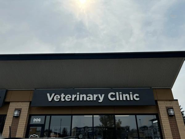 vet clinic