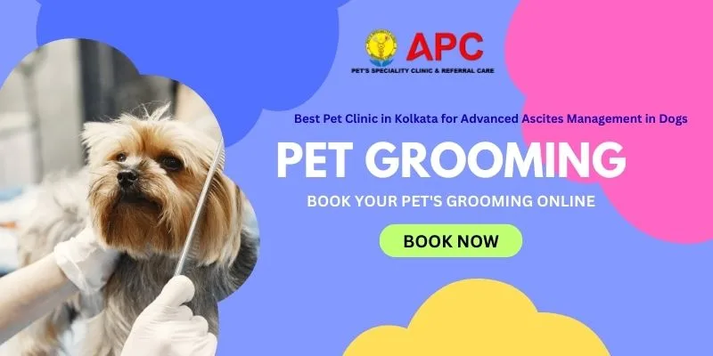 best pet clinic in Kolkata, Diagnostic Tests for Pets
