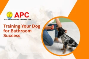 Training Your Dog for Bathroom Success: A Practical Guide