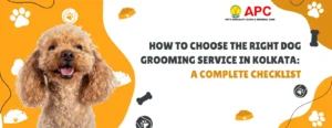 How to Choose the Right Dog Grooming Service in Kolkata: A Complete Checklist