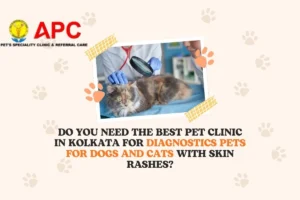 Do You Need the Best Pet Clinic in Kolkata for Diagnostics Pets for Dogs and Cats with Skin Rashes?
