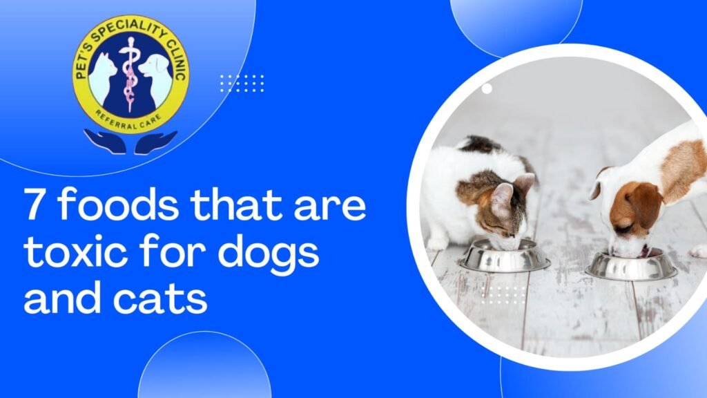 Best Pet Clinic In Kolkata, dog grooming services in Kolkata , pet boarding in Kolkata , pet vaccination in Kolkata , pet dental care in Kolkata , Pet Nutrition Tips by expert in Kolkata , Veterinary Clinics in Kankurgachhi Kolkata , veterinary clinics near me in Kolkata , best veterinary hospital in Kolkata , Pet Care Services in Kolkata, dog grooming services in Kolkata