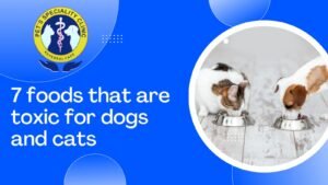 7 Foods That Are Toxic for Dogs & Cats (Every Pet Owner Must Know)