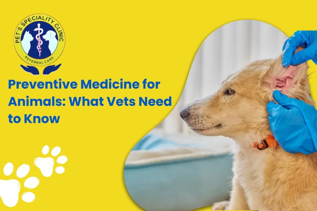 Preventive Medicine for Animals: What Vets Need to Know