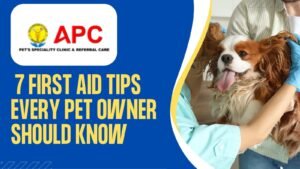 7 First Aid Tips Every Pet Owner Should Know