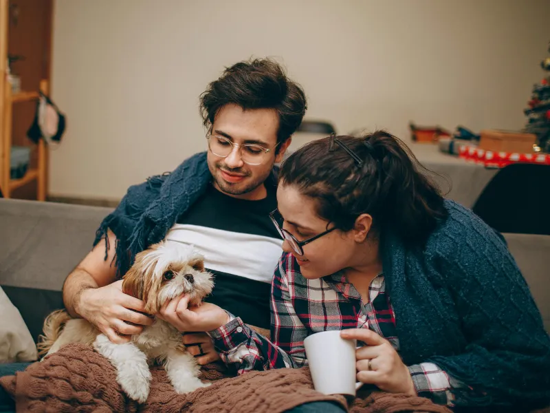 Best Pet Clinic In Kolkata