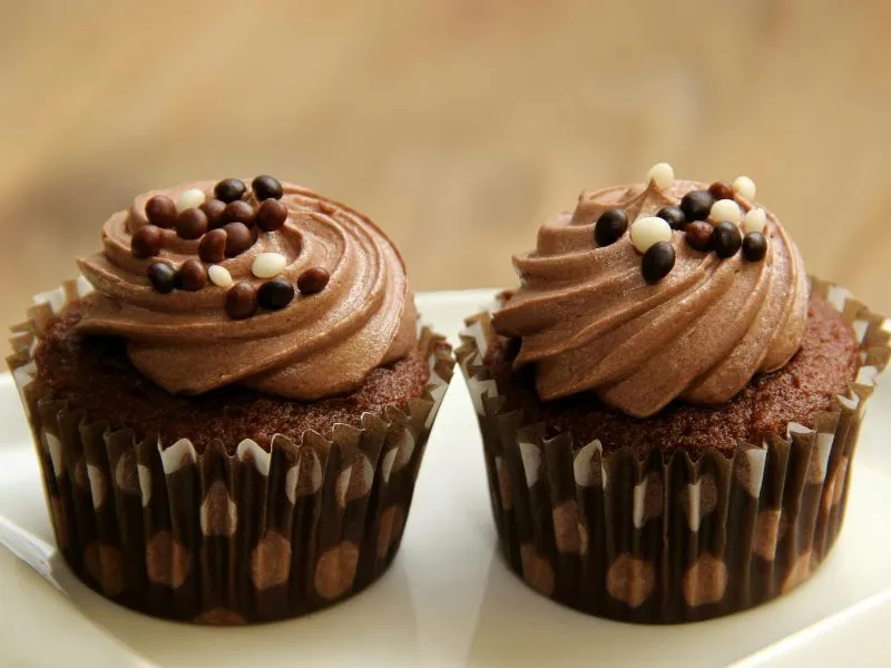 Best Pet Clinic In Kolkata