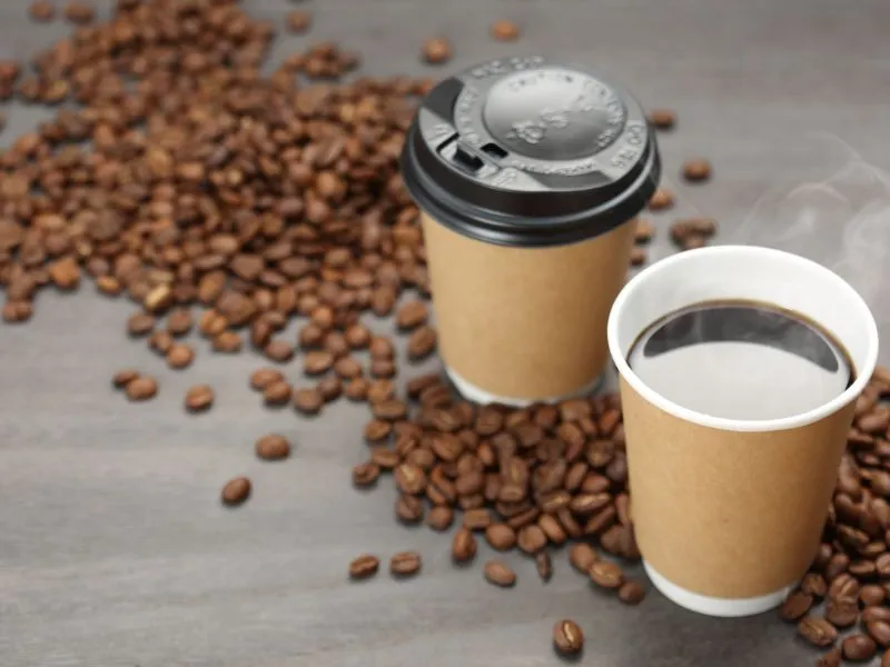 Best Pet Clinic In Kolkata