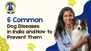 6 Common Dog Diseases in India and How to Prevent Them