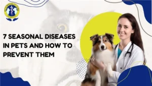 7 Seasonal Diseases in Pets and How to Prevent Them