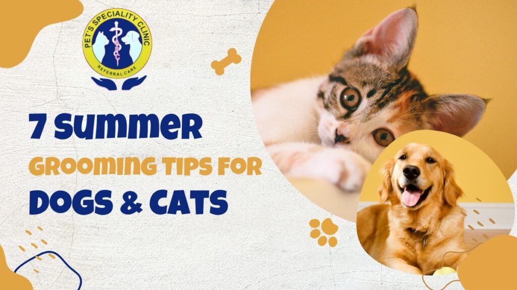 7 Summer Grooming Tips for Dogs & Cats
