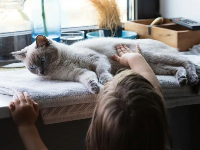 Best Pet Clinic In Kolkata