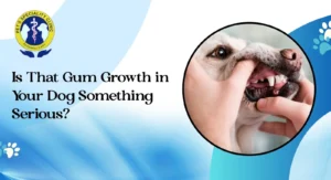 Is That Gum Growth in Your Dog Something Serious?