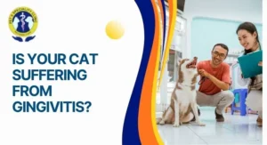 Is Your Cat Suffering from Gingivitis?