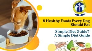 8 Healthy Foods Every Dog Should Eat: Simple Diet Guide