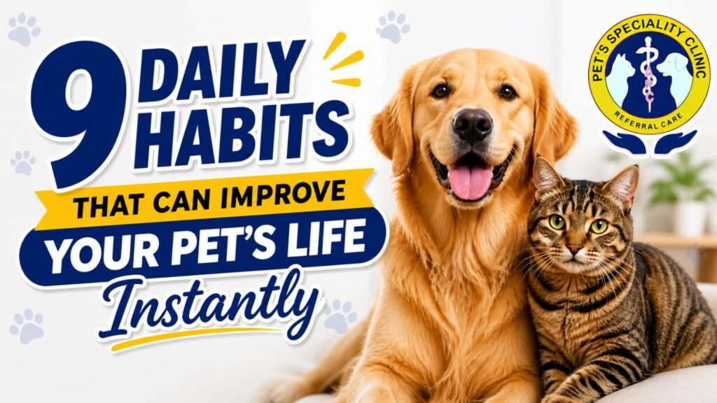 9 Daily Habits That Can Improve Your Pet’s Life Instantly