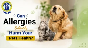 Can Allergies Silently Harm Your Pets’ Health?