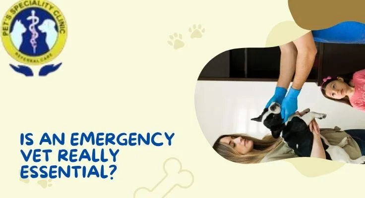 Best Pet Clinic In Kolkata, dog grooming services in Kolkata , pet boarding in Kolkata , pet vaccination in Kolkata , pet dental care in Kolkata , Pet Nutrition Tips by expert in Kolkata , Veterinary Clinics in Kankurgachhi Kolkata , veterinary clinics near me in Kolkata , best veterinary hospital in Kolkata , Pet Care Services in Kolkata, dog grooming services in Kolkata
