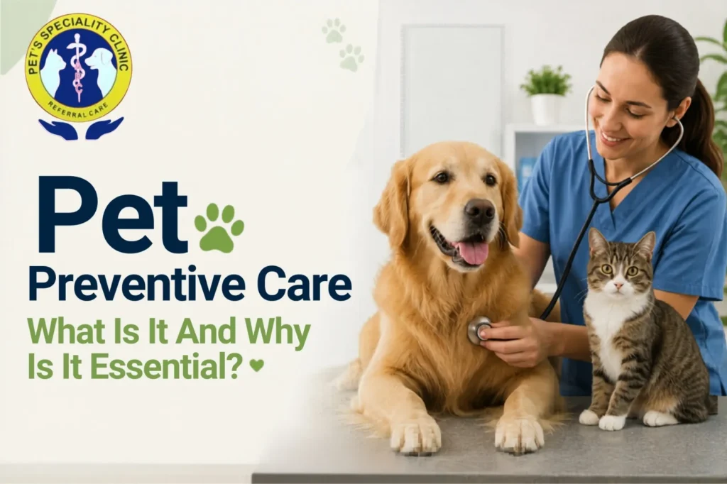 Best Pet Clinic In Kolkata, dog grooming services in Kolkata , pet boarding in Kolkata , pet vaccination in Kolkata , pet dental care in Kolkata , Pet Nutrition Tips by expert in Kolkata , Veterinary Clinics in Kankurgachhi Kolkata , veterinary clinics near me in Kolkata , best veterinary hospital in Kolkata , Pet Care Services in Kolkata, dog grooming services in Kolkata