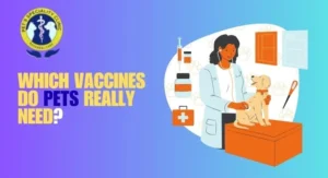 Which Vaccines Do Pets Really Need?