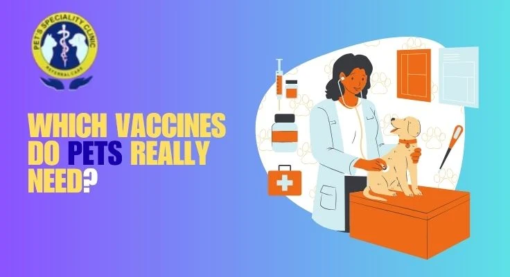 Which Vaccines Do Pets Really Need?