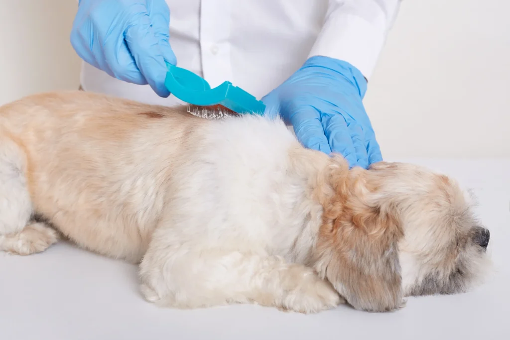  veterinary clinic in kolkata