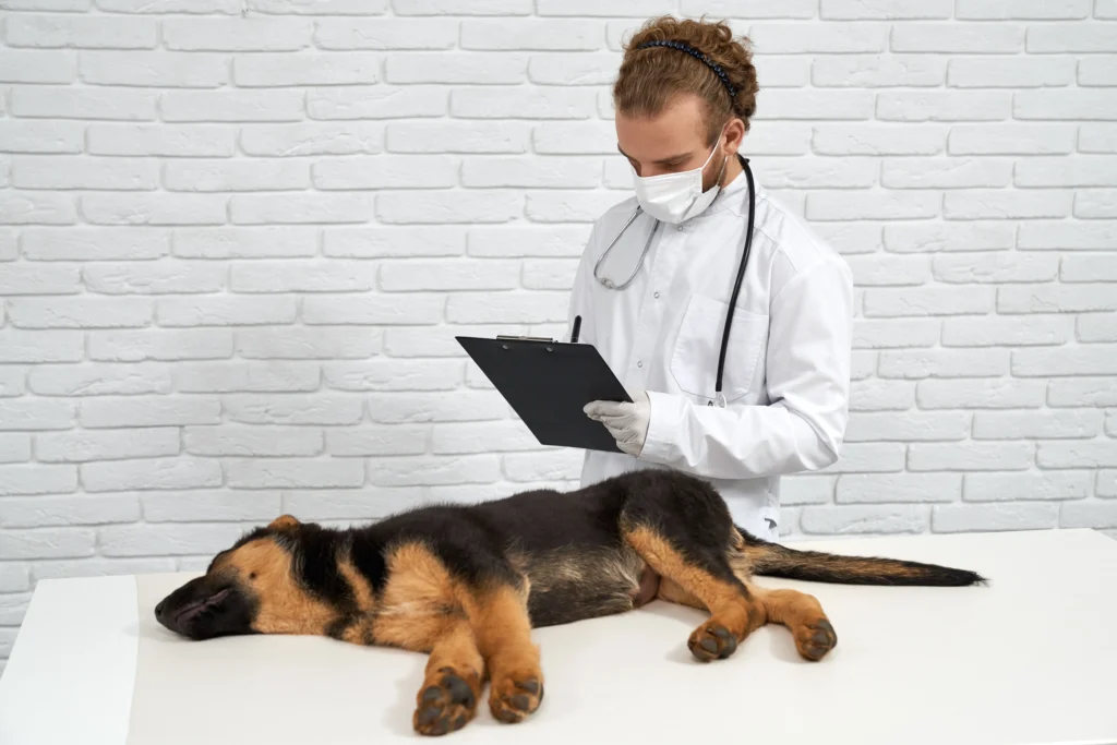 veterinary clinic in Kolkata