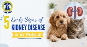 5 Early Signs of Kidney Disease in Pets Every Owner Should Know