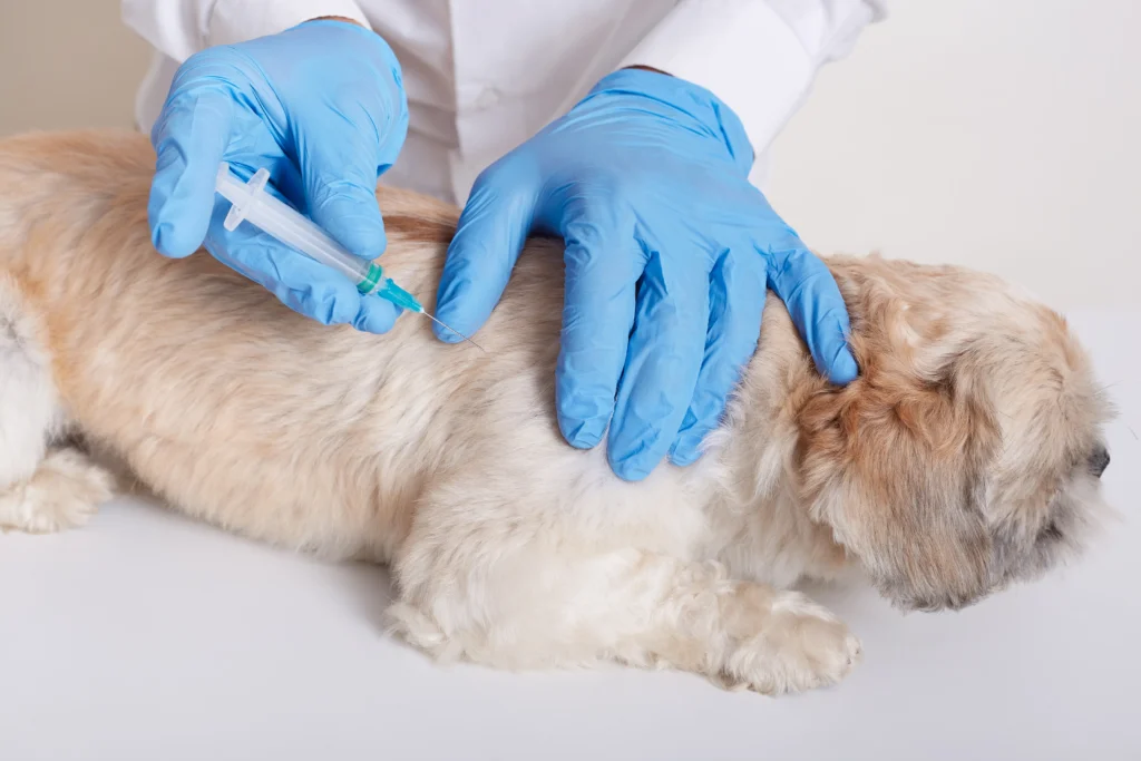 veterinary clinic in Kolkata