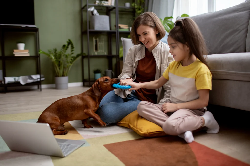 best pet clinic in Kolkata, Regular Veterinary Care