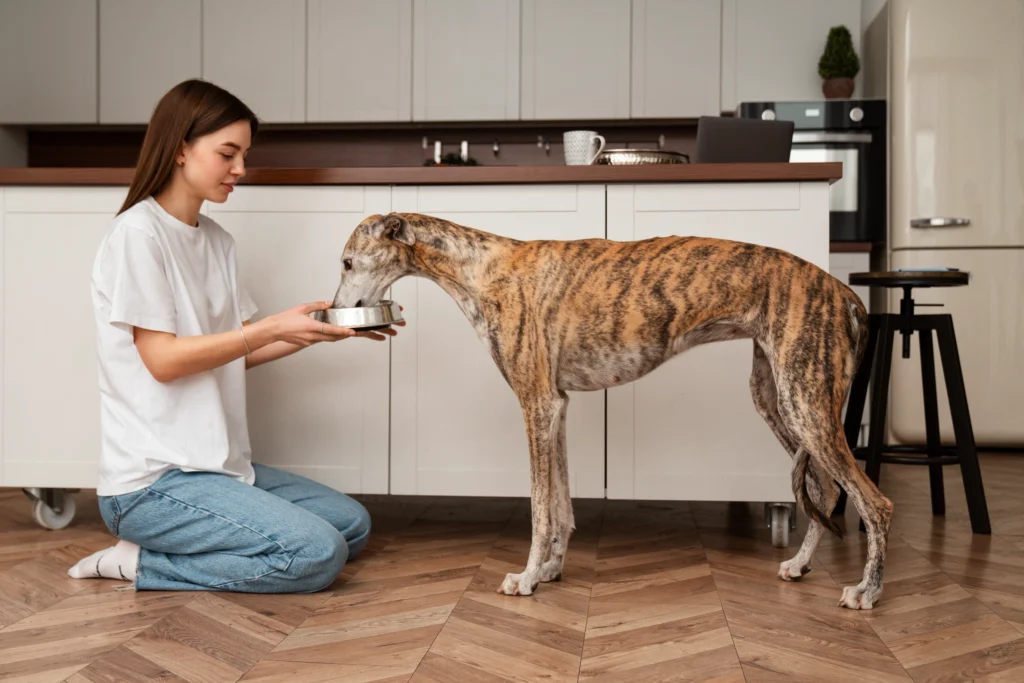 veterinary clinic in kolkata